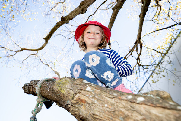 Child climbing a tree